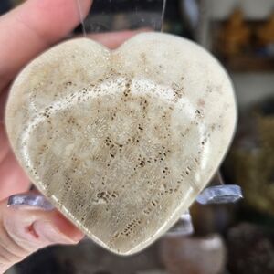 Fossilized Coral (Coral Jade) Heart Crystal Carving W/ Stand